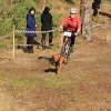 Kamanu suņu sporta sacensības 
